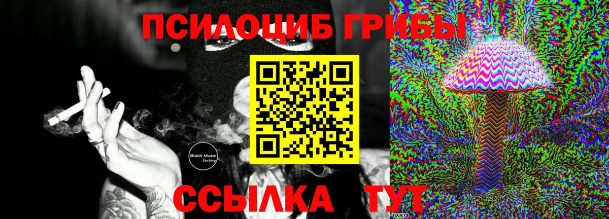 хочу   Вход с VPN  Чита  Галлюциногенные грибы Psilocybine cubensis  Галлюциногенные грибы Psilocybine cubensis 